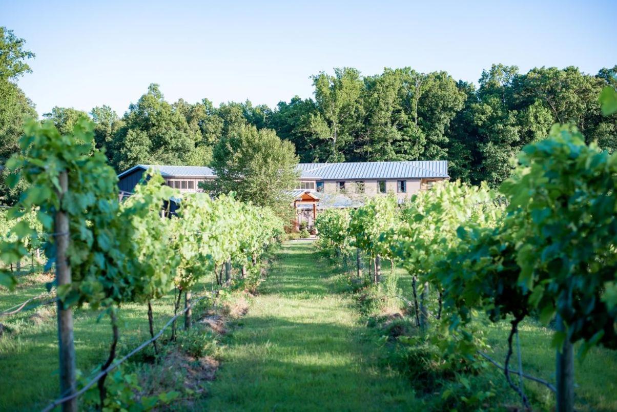Charming 3-Bedroom Home In Heart Of Ashland Eksteriør billede